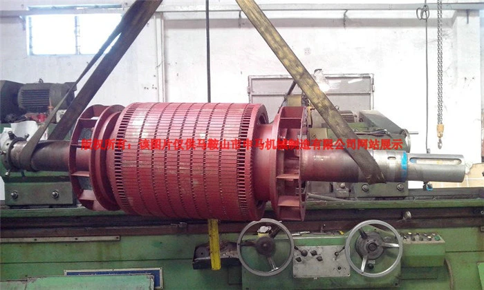 Pump rotor